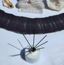 Load image into Gallery viewer, Sacred + Grounding Reed Diffuser